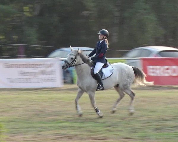 Reitturnier Reckahn 2019