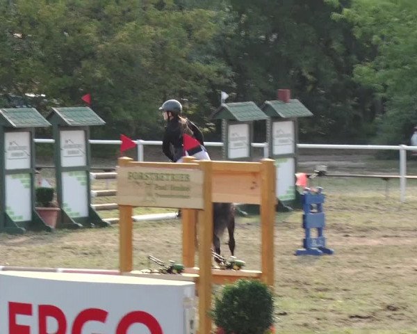 Reitturnier Reckahn 2019