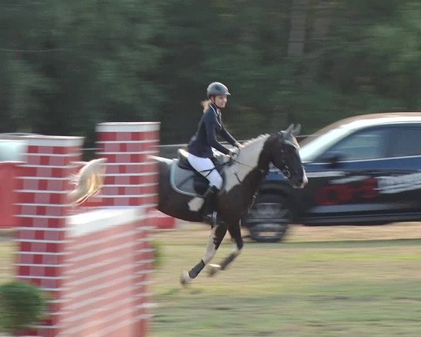 Reitturnier Reckahn 2019