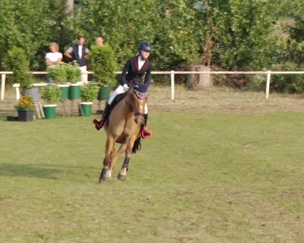 Reitturnier Reckahn 2019
