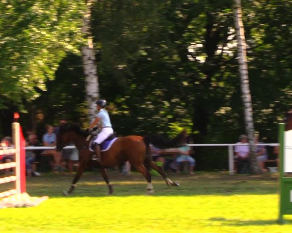 Reitturnier Berlin-Malchow 2019