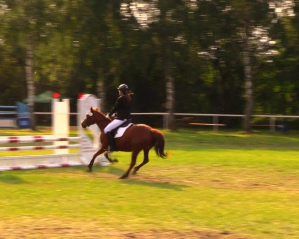 Reitturnier Berlin-Malchow 2019