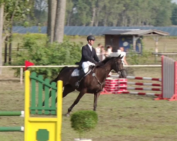 Reitturnier Reckahn 2019