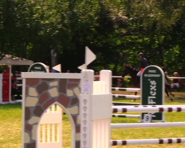 Reitturnier Berlin-Malchow 2019