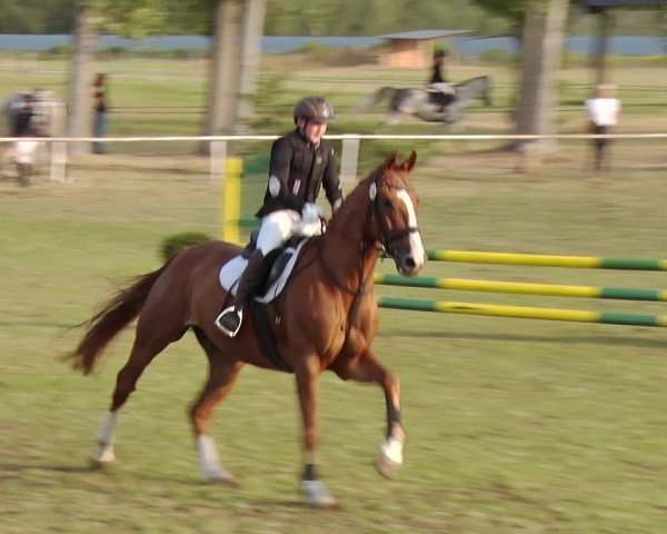 Reitturnier Reckahn 2019