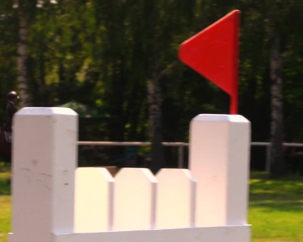 Reitturnier Berlin-Malchow 2019