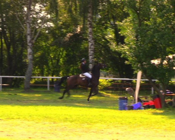 Reitturnier Berlin-Malchow 2019