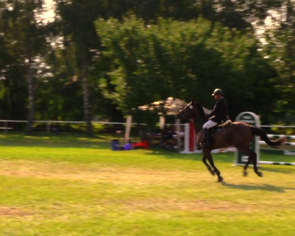 Reitturnier Berlin-Malchow 2019