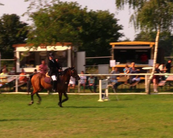 Reitturnier Berlin-Malchow 2019
