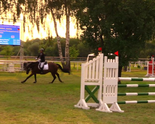 Reitturnier Berlin-Malchow 2019