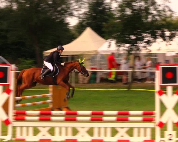 Reitturnier Berlin-Malchow 2019