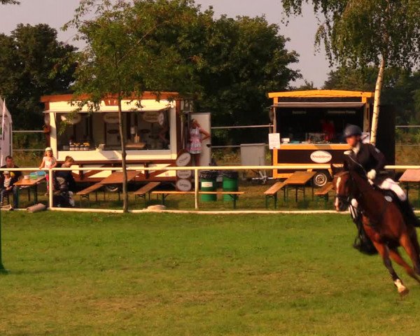 Reitturnier Berlin-Malchow 2019