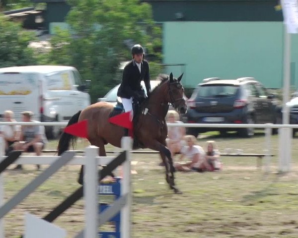 Reitturnier Reckahn 2019