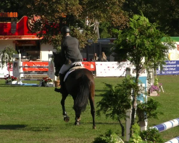 Reitturnier Aschersleben 2019