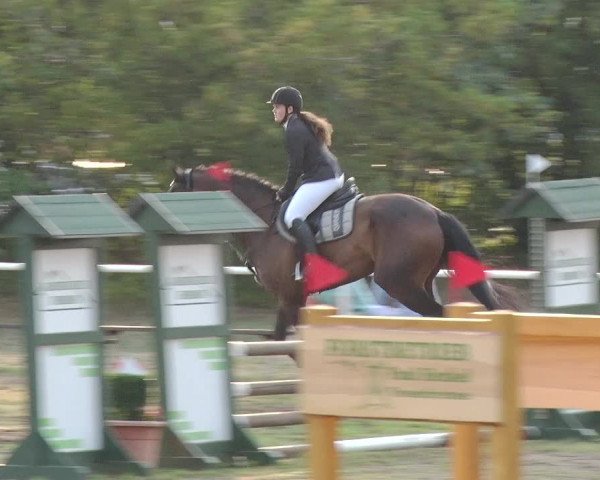 Reitturnier Reckahn 2019