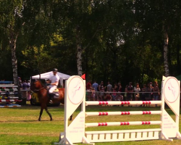 Reitturnier Berlin-Malchow 2019