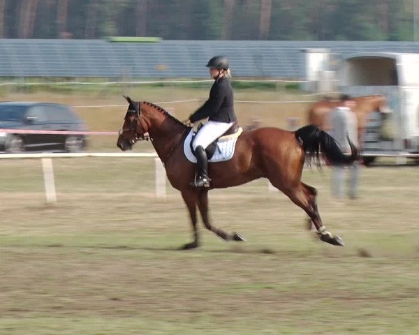 Reitturnier Reckahn 2019