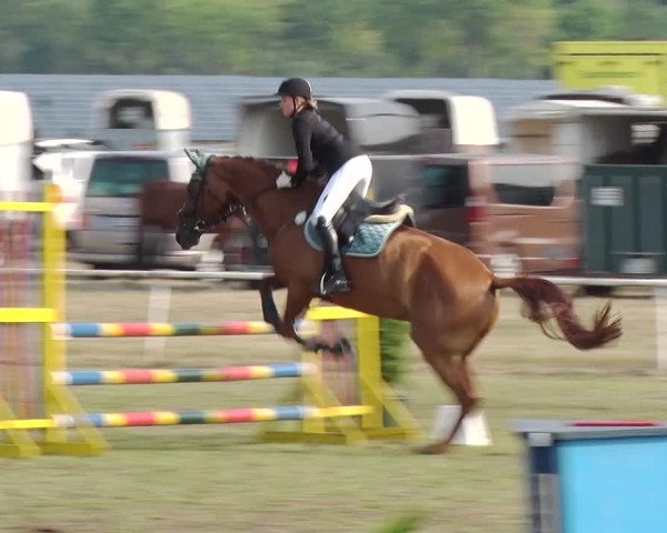 Reitturnier Reckahn 2019