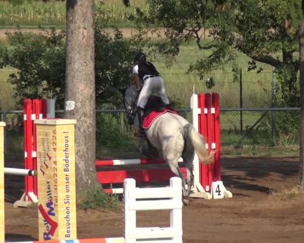Reitturnier Heidelberg-Kirchheim 2019