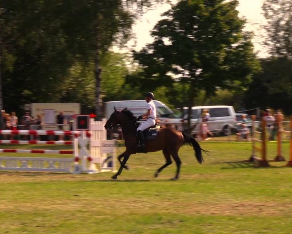 Reitturnier Berlin-Malchow 2019