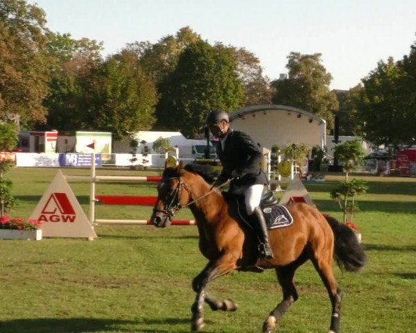 Reitturnier Aschersleben 2019