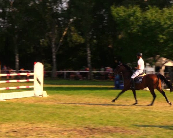 Reitturnier Berlin-Malchow 2019