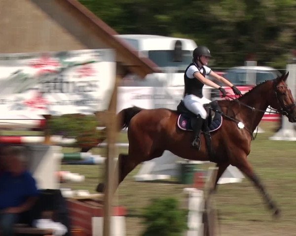 Reitturnier Reckahn 2019