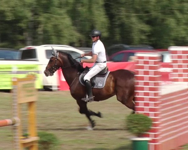 Reitturnier Reckahn 2019