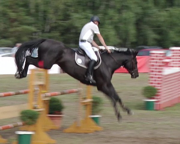 Reitturnier Reckahn 2019