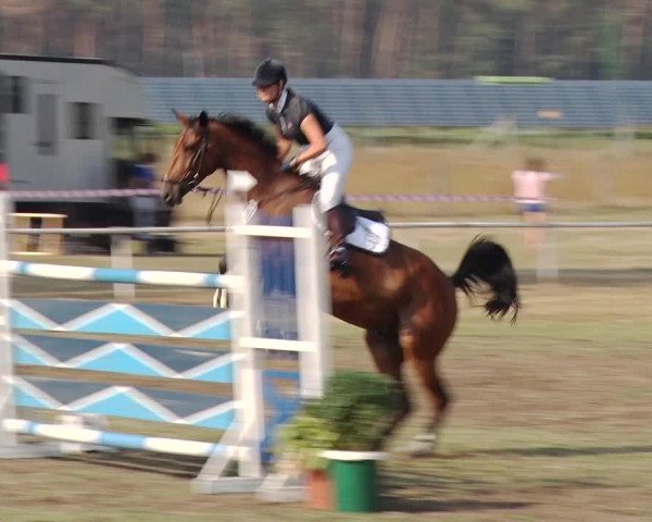 Reitturnier Reckahn 2019