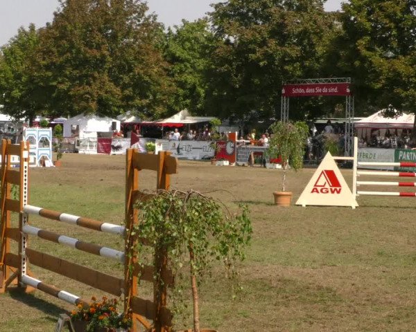 Reitturnier Aschersleben 2019