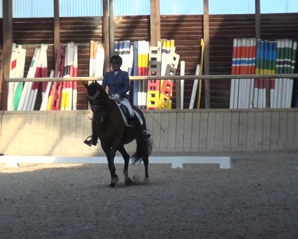 Reitturnier Heidelberg-Kirchheim 2019