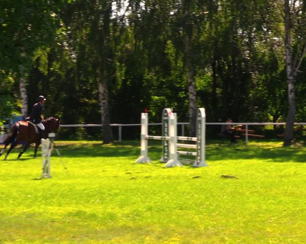 Reitturnier Berlin-Malchow 2019