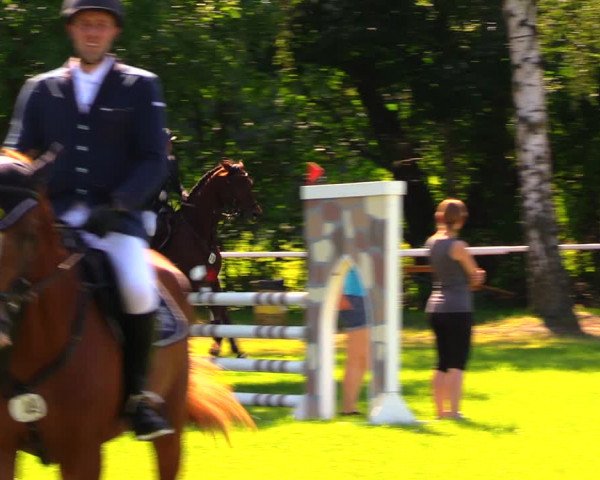 Reitturnier Berlin-Malchow 2019