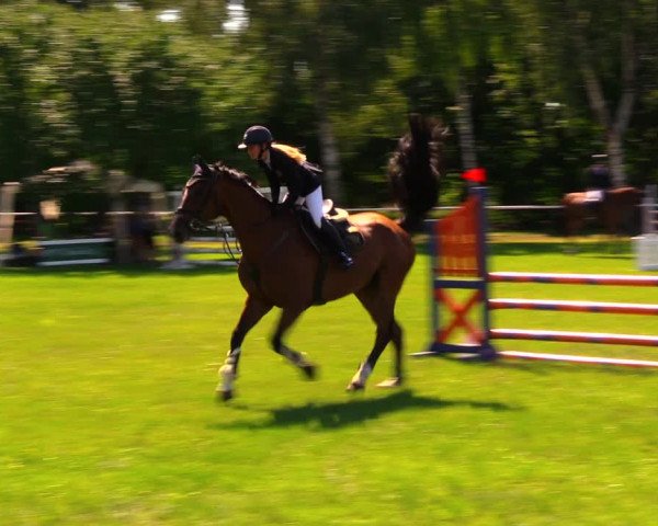 Reitturnier Berlin-Malchow 2019