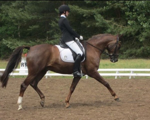 dressage horse Roseon (Hanoverian, 2008, from Rosentau)
