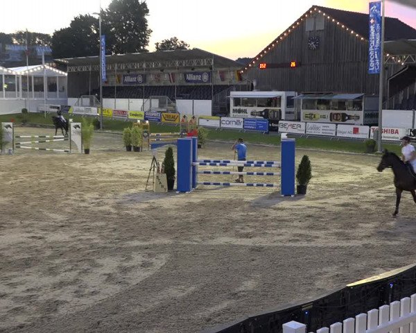 Reitturnier Humlikon 2019