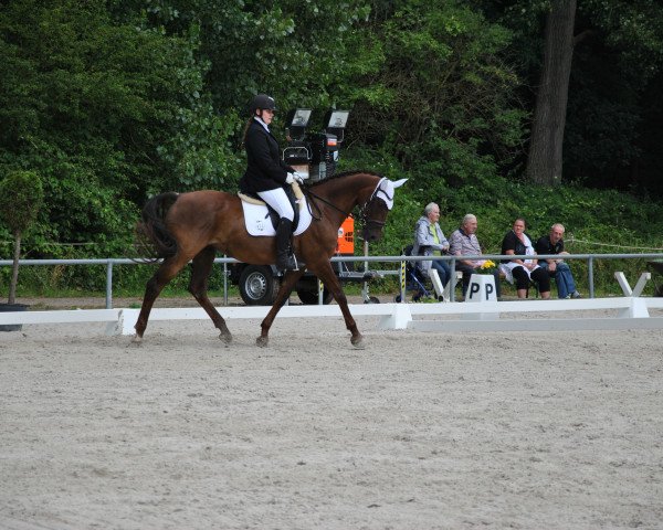 broodmare Fortuna (Rhinelander, 2000, from Fidelis) broodmare Fortuna (Rhinelander, 2000, from Fidelis)