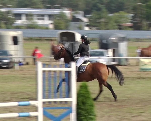 Reitturnier Reckahn 2019