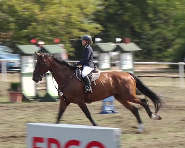 Reitturnier Reckahn 2019