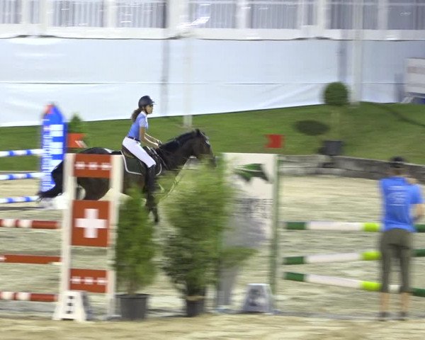 Reitturnier Humlikon 2019