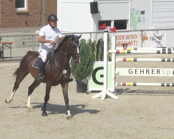 Reitturnier Durmersheim-Hardt 2019