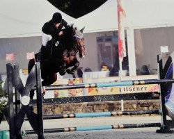 jumper Landräuber 4 (Westphalian, 2001, from Landstreicher)