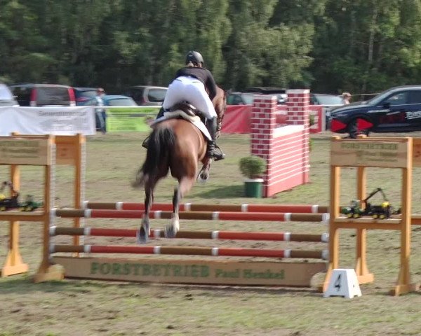 Reitturnier Reckahn 2019