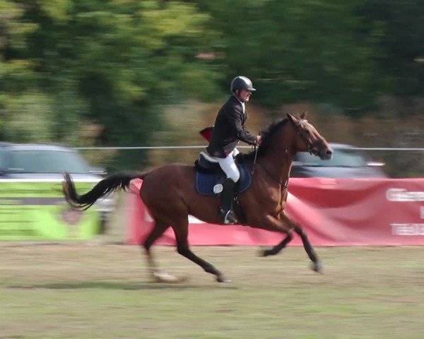 Reitturnier Reckahn 2019