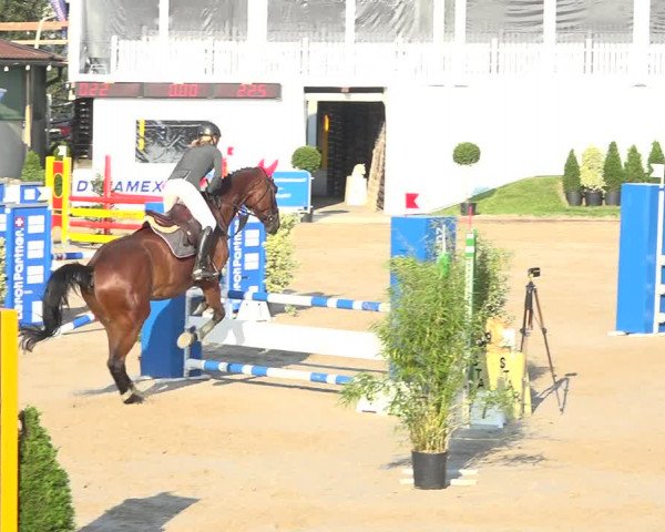 Reitturnier Humlikon 2019