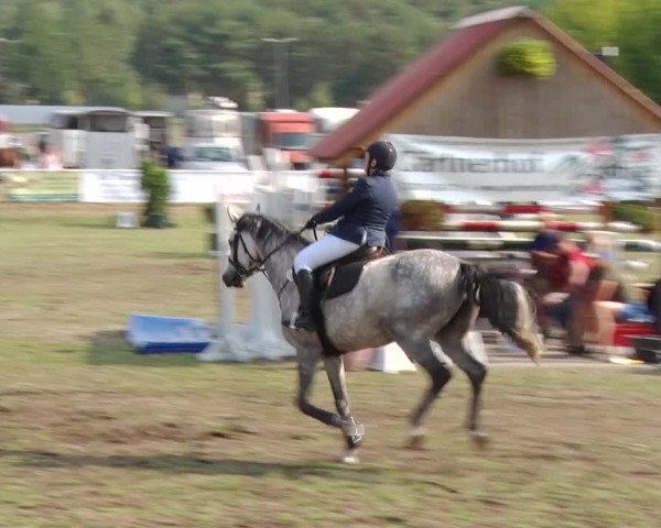 Reitturnier Reckahn 2019