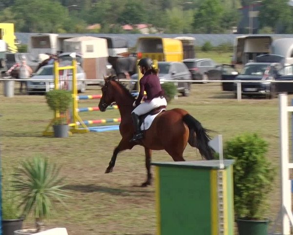 Reitturnier Reckahn 2019