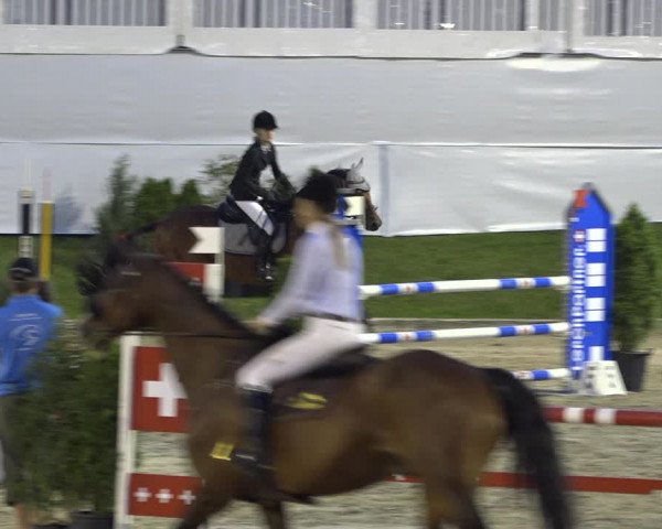 Reitturnier Humlikon 2019