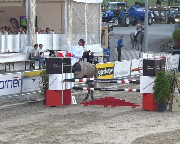 Reitturnier Humlikon 2019